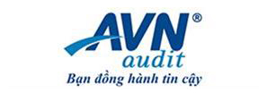 Công ty AVN Audit